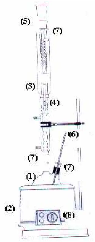 Figura 6: O sistema vertical de reação para análise de ditiocarbamatos, como CS 2