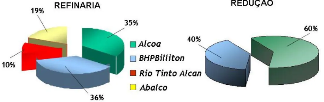 Gráfico 2: Participação acionária no Consórcio de Alumínio do Maranhão em 2008