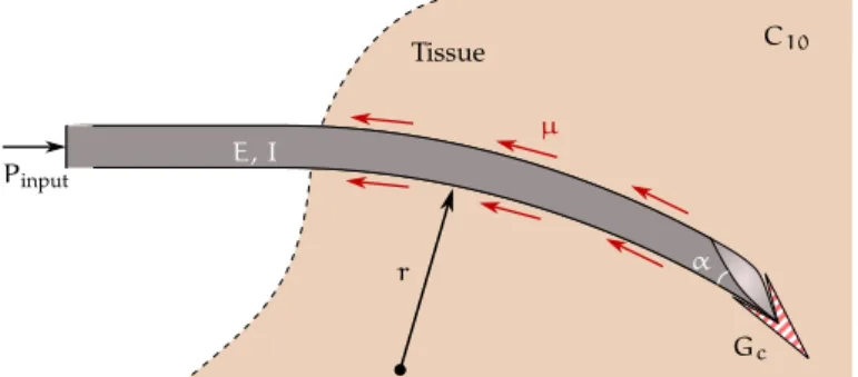 Figure 2.3: Schematic of a beveled needle interacting with soft elastic medium. The model incor- incor-porates the tip bevel angle (↵), the needle’s Young’s modulus (E), and second moment of inertia (I); the tissue’s nonlinear hyperelastic material propert
