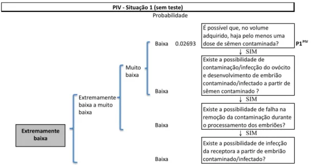 Figura 8.  Árvore de cenários com probabilidades referentes à aquisição de doses de sêmen e  às principais etapas da PIV, para a Situação 1