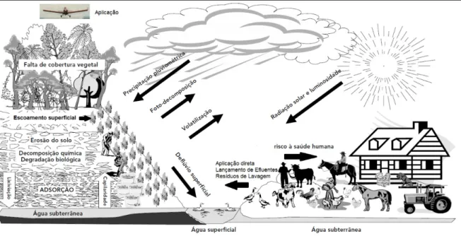 Figura 2.2 - Processos de contaminação da água por pesticidas. Adaptado de VEIGA et al