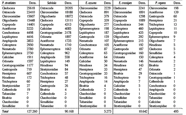 Tabela  2  -  Grupos de invertebrados associados à macrófitas aquáticas em ordem  decrescente de densidade (Dens