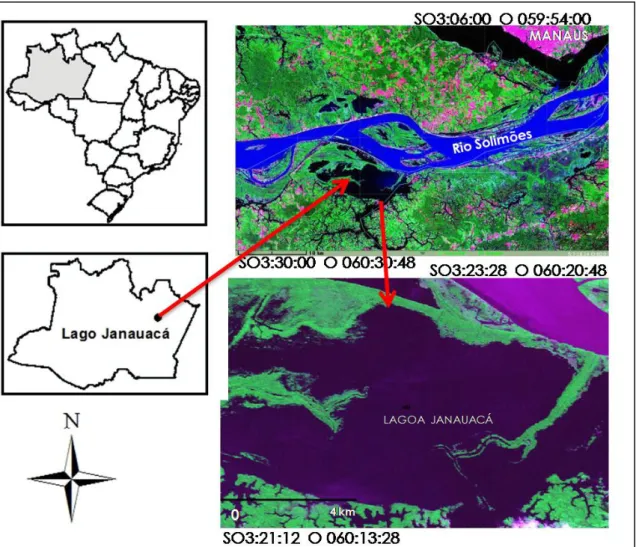 Figura 3- Localização geográfica da várzea do lago Janauacá (AM) (Fonte: Inpe, 2010).  