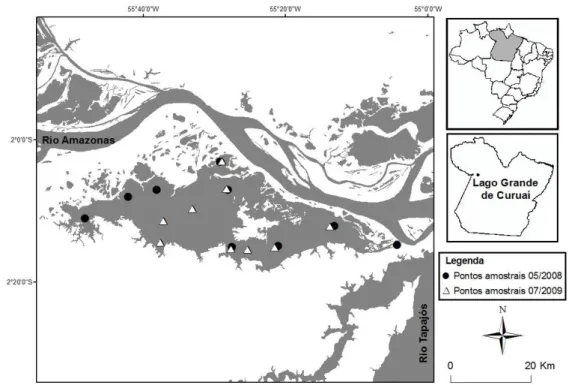 Figura 9- Localização esquemática dos pontos amostrais na várzea do lago Grande de  Curuai (PA) para medição de parâmetros físico-químicos da água no período de cheia  de maio de 2008 ( ●)  e julho de 2009 ( ∆).