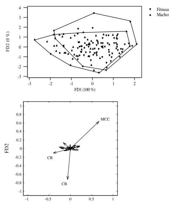 Figura 2.5. Resultados da análise discriminante independente do tamanho com base na  matriz de covariância de medidas cranianas, transformadas em algoritmos, de indivíduos machos  e fêmeas de  Galea  spixii, classes etárias relativas compreendidas entre 3 