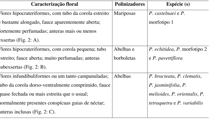 Tabela 1. Morfologia floral em Pleonotoma Miers. 