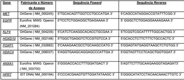 Tabela  4.2:  Sequência  dos  primers  utilizados  para  avaliação  da  expressão  de  genes  alvo  preditos  para  miRNAs  e  do  gene  referência  utilizado  para  a  normalização  dos  níveis  de  expressão
