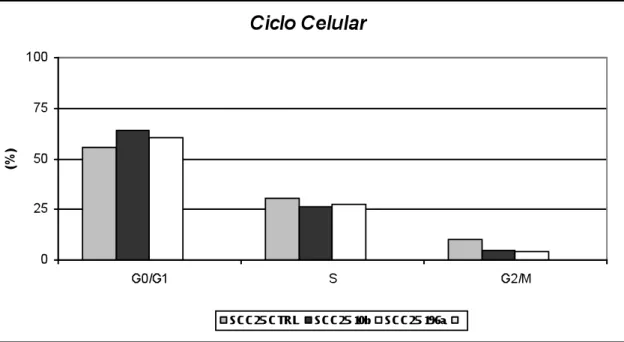 Figura  5.17  -  Porcentagem  de  células  SCC25  nas  fases  G0/G1,  S  e  G2/M  após  transfecção  com  os  miRNAs miR-10b e miR-196a 