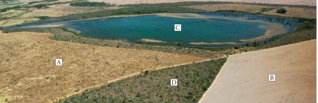 Figura 5 – Vista aérea do limite da área de estudo(A) mostrando uma plantação de soja(B), a Lagoa Bonita(C) e uma área natural de cerrado stricto sensu(D)