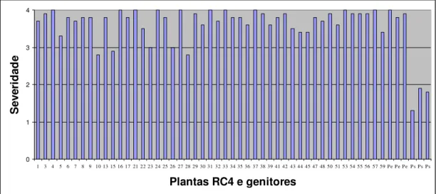 Figura 1.2 - Severidade da virose do endurecimento dos frutos em plantas RC4, no genitor  recorrente (Passiflora  edulis f