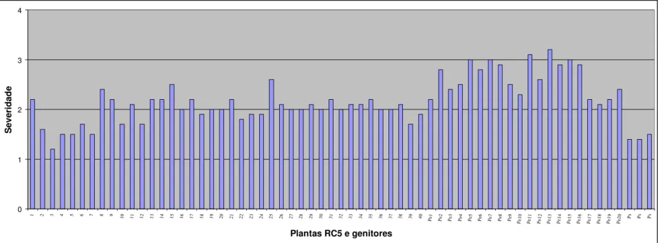 Figura 1.5 - Severidade da virose do endurecimento dos frutos em plantas RC5, no genitor recorrente (Passiflora edulis f