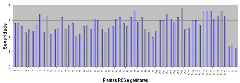 Figura 1.6 - Severidade da virose do endurecimento dos frutos em plantas RC5, no genitor recorrente (Passiflora edulis f