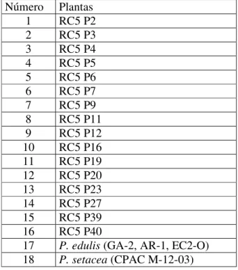Tabela 2.2 - Plantas RC5 analisadas. Embrapa Cerrados/2007.  Número  Plantas  1  RC5 P2  2  RC5 P3  3  RC5 P4  4  RC5 P5  5  RC5 P6  6  RC5 P7  7  RC5 P9  8  RC5 P11  9  RC5 P12  10  RC5 P16  11  RC5 P19  12  RC5 P20  13  RC5 P23  14  RC5 P27  15  RC5 P39 
