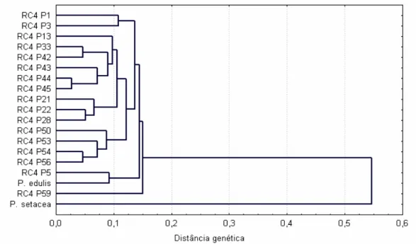 Figura 2.1 - Análise de agrupamento de 17 plantas RC4 e seus genitores Passiflora edulis  e  P