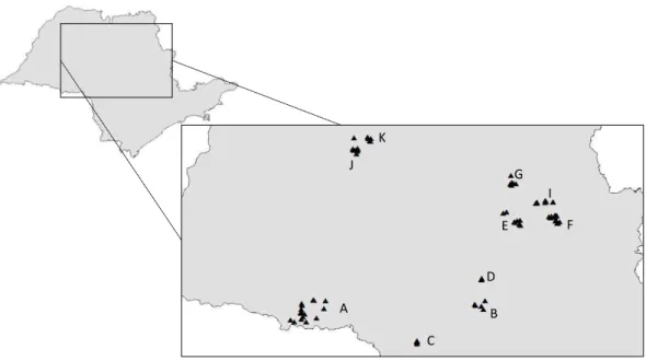 Figura  III.2.  Áreas  amostradas  no  Estado  de  São  Paulo  para  o  acesso  às  comunidades  microbianas do solo sob cultivo de cana-de-açúcar