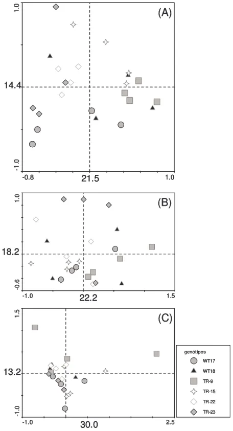 Figura 3.7 -   PCA  baseado  nos  perfis  de  PCR-DGGE  obtidos  a  partir  de  amostras  de  rizoplano  das  plantas  de  eucalipto