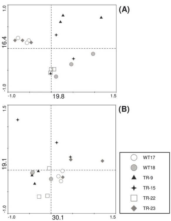 Figura 3.8 -   Análise de componentes principais baseada nos perfis de PCR-DGGE obtidos a partir de amostras de  rizosfera  (A)  e  de  rizoplano  (B)  de  plantas  de  eucalipto  para  o  grupo  bacteriano  selecionado  pelo  primer  2F,  que  é  composto