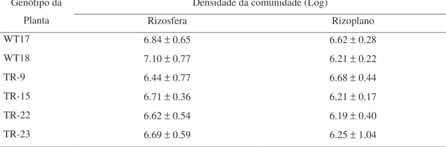 Tabela 3.2 -   Densidade  da  comunidade  bacteriana  isolada  da  rizosfera  e  do  rizoplano  de  plantas  transgênicas  e  não transgênicas de eucalipto
