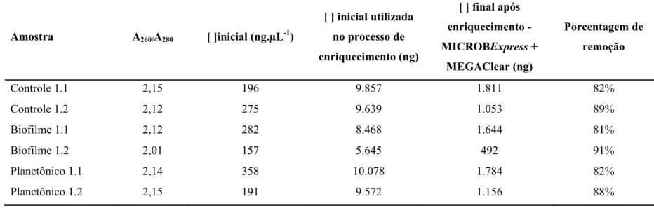 Tabela 3.2 -   Rendimento do processo de amplificação de mRNA, realizado por meio do kit MessageAmpTM II-Bacteria Kit, durante 14h