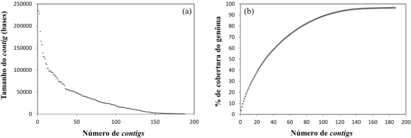 Figura 3.5 -   (a) Distribuição dos contigs obtidos no presente estudo de acordo com seu tamanho em bases; e (b)  cobertura genômica obtida no sequenciamento de acordo com o tamanho médio estimado pelo  programa Newbler 
