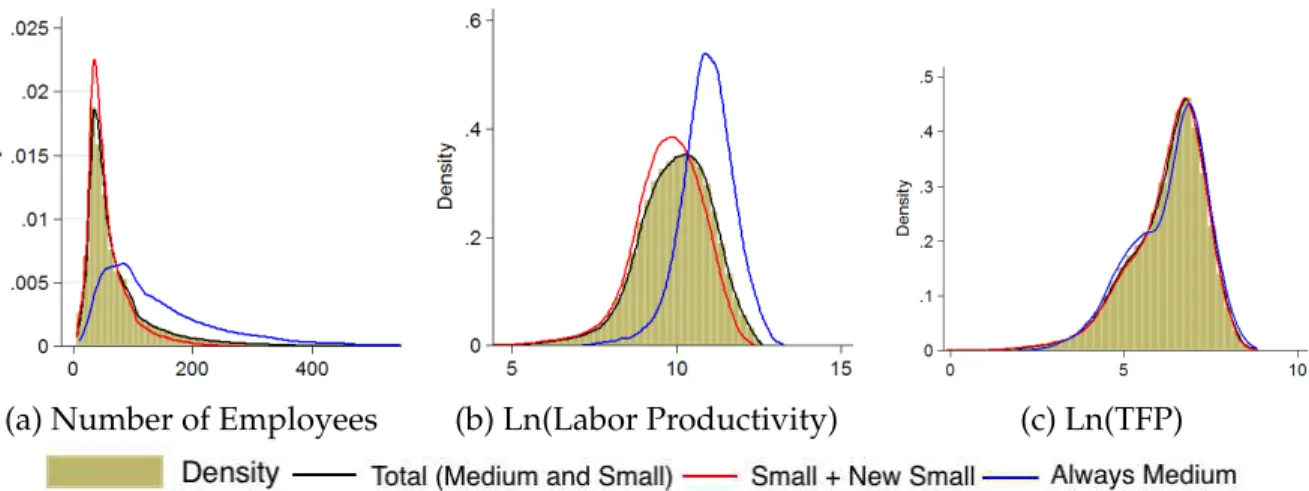 Figure 1: Distribution of Size, Labor Productivity and TFP. Source: PIA, IBGE.