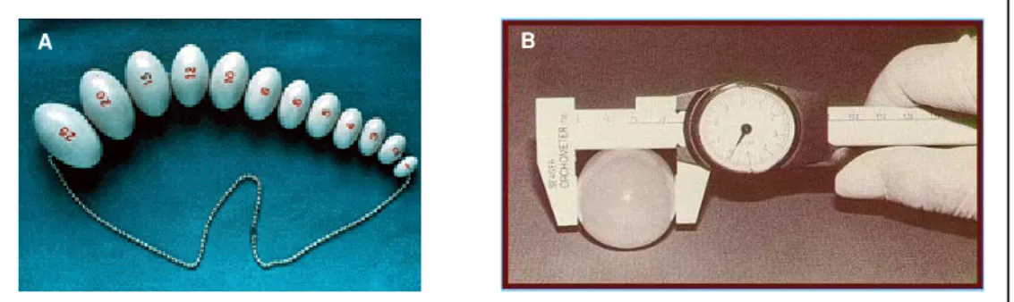 Figura  3:  Instrumentos  para  mensuração  do  volume  testicular.  (A)  Orquidômetro  de  Prader;  (B)  Paquímetro 