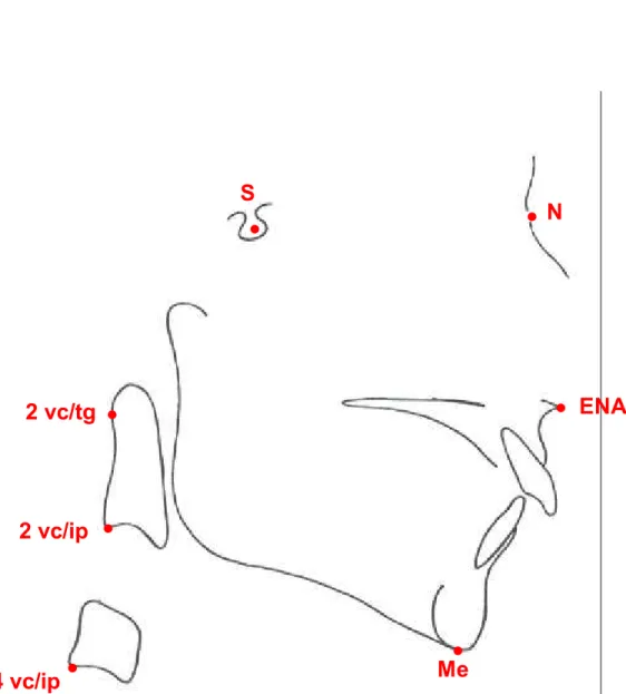 Figura 7 – Pontos cefalométricos. 