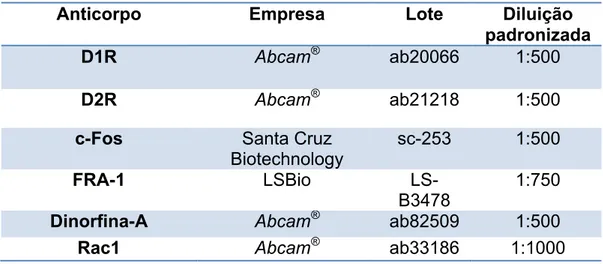 Tabela 3: Relação dos anticorpos primários utilizados nesse projeto, bem como a empresa,  lote e diluição padronizada para o teste de Western Blotting