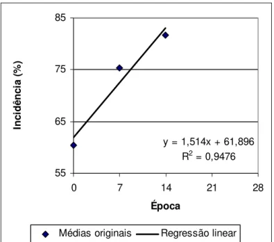 Figura 1.25 – Regressão linear a partir de médias de incidência de doença em função da  época de avaliação (comparação entre os métodos de inoculação da bactéria)
