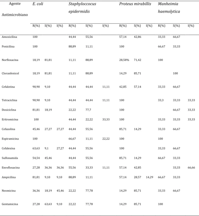 Tabela  1.  Resultados  do  antibiograma  realizado  nas  cepas  de  E.  coli,  Staphyloccocus  epidermidis,  Proteus  mirabillis  e  Manheimia  haemolytica  isoladas  das lesões de celulite aviária