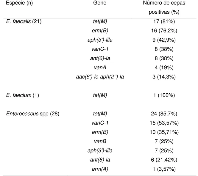Tabela 2 – Resultado da PCR para detecção dos genes de resistência das cepas de  E. faecalis, E