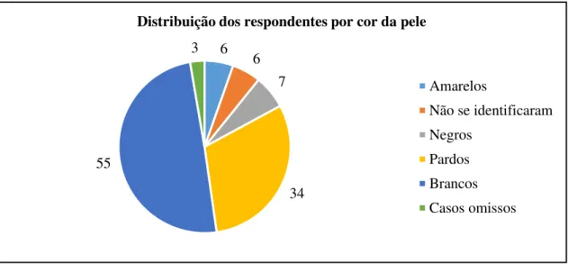 Figura 4. Distribuição dos respondentes por raça 