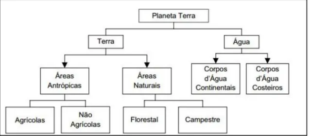 Figura 4. Esquema teórico de construção de uma nomenclatura da  cobertura terrestre. Fonte: IBGE (2006)  adaptado de Heymann (1993)