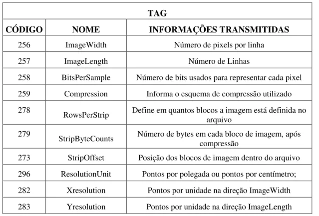 Tabela 3.5 - Principais TAGs Existentes 