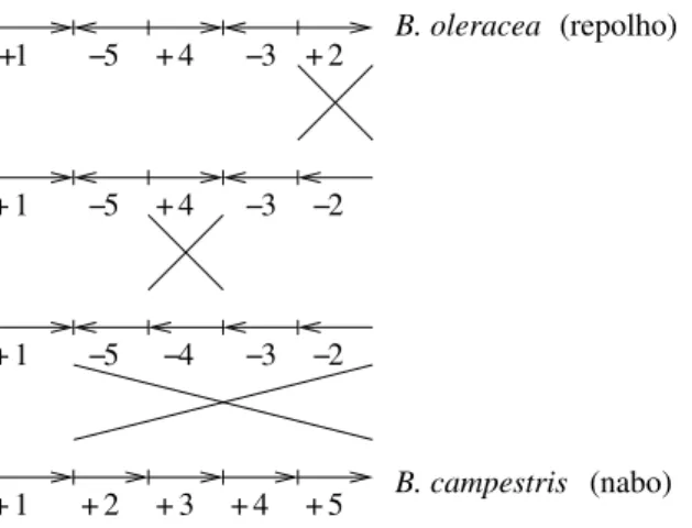 Figura 1.2: Distˆancia de revers˜ao com sinais (Exemplo tomado de [6], p´ag. 240)