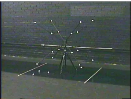 Figura  5-  Imagem  do  Calibrador  Padrão  Peak  Motus  em  uma  das  Câmeras  (Fonte: 