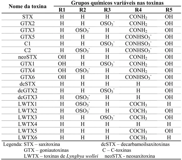 Tabela 3.2 - Tipos de saxitoxinas caracterizadas a partir de diferentes cepas  de cianobactérias (baseado em Sivonen e Jones, 1999)