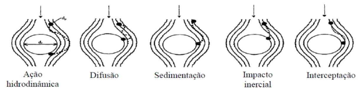 Figura 3.2 – Mecanismos de transporte de partículas na filtração em meios porosos (Ives,  1969)