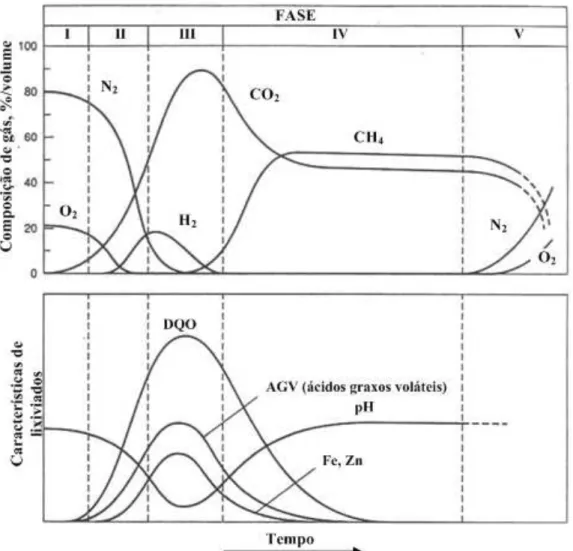 Figura 3.1 - Fases de estabilização dos resíduos sólidos urbanos em aterros sanitários  (Tchobanouglos, 1993)