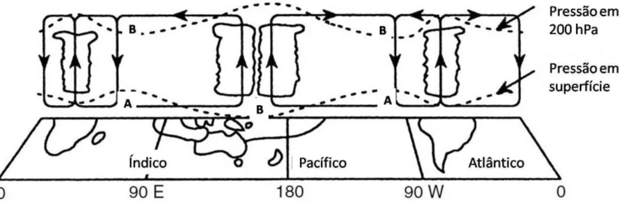 Figura 3. Diagrama esquemático da circulação de Walker ao longo do equador.  