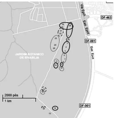 Figura  13.  Representação  dos  três  grupos-comunidades  formados  a  partir  da  análise  aglomerativa  de  similaridade  florística  das  25  linhas  instaladas  em  cerrado  sentido  restrito no Jardim Botânico de Brasília, no ano de 2009