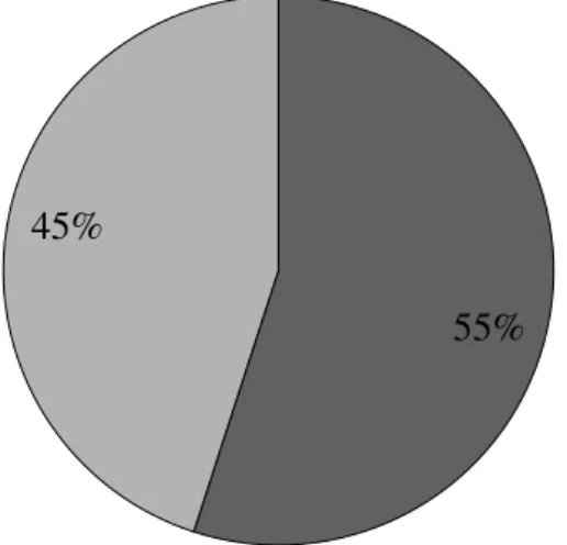 Figure 3: L'utilisation d'un réseau de distribution à l'étranger 