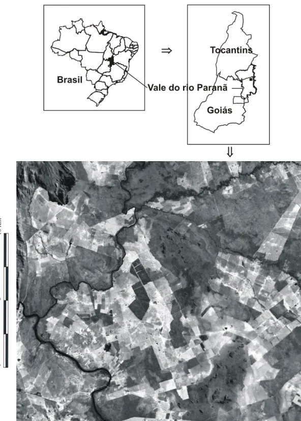 Figura 1. Localização geográfica do vale do rio Paranã e imagem de satélite mostrando  a paisagem fragmentada, onde foram estudados fragmentos de floresta 