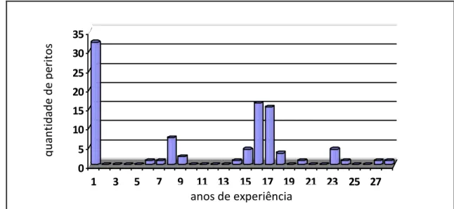 Figura 6 - distribuição dos profissionais entre os anos de experiência profissional