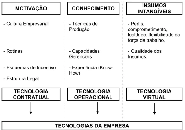 Figura 6 – Recursos e Fatores Tecnológicos na Empresa. 