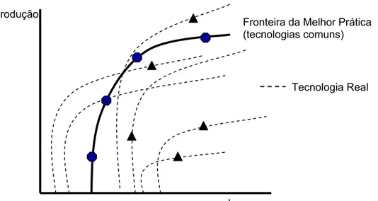 Figura 8 – Heterogeneidade Tecnológica entre Empresas. 