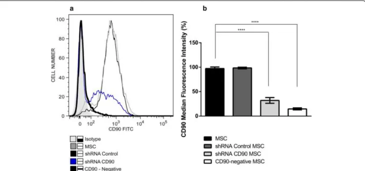 Fig. 3 Reduction of CD90 expression does not affect mesenchymal stromal cell (MSC) morphology and proliferation rate