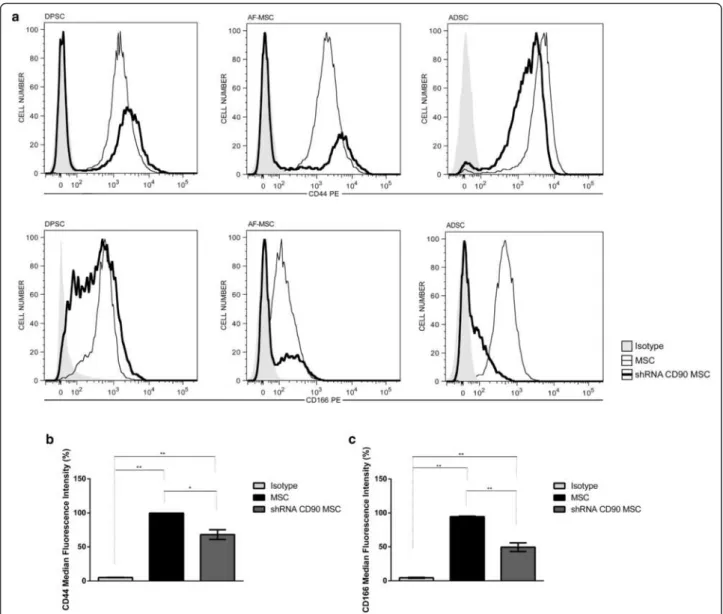 Fig. 5 Reduction of CD90 expression leads to a reduction in the expression of CD44 and CD166 in mesenchymal stromal cells (MSCs)