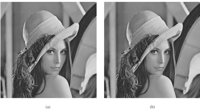 Figura 2.5: (a) Imagem original. (b) Reconstrução da imagem comprimida com JPEG com PSNR de 36,49 dB.
