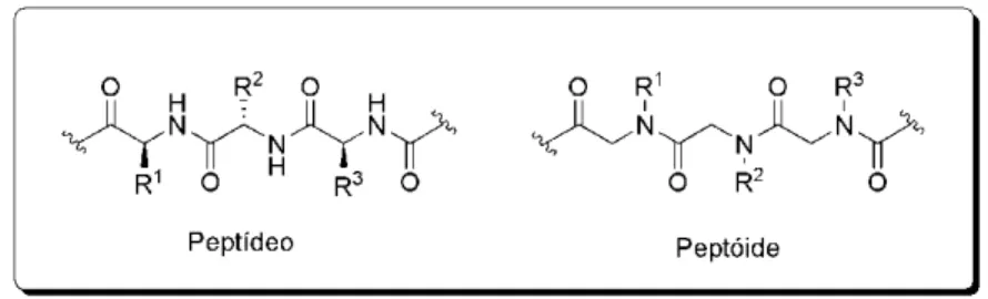 Figura 2.  Estruturas de um peptídeo e de um peptóide.
